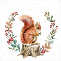 Art.No.13316625- Салфетки Storing for winter от 