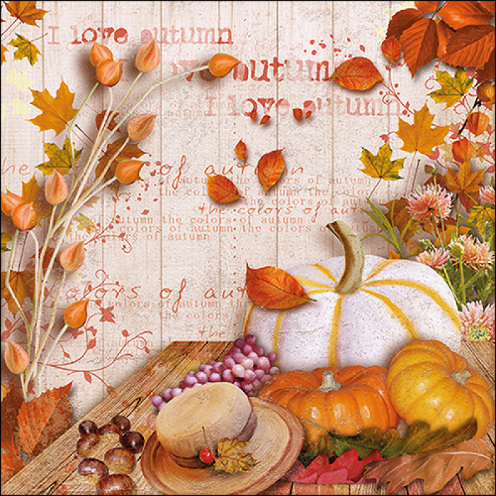 Салфетки Colours of autumn