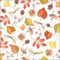 Art.No.13316840- Салфетки Autumn details от 