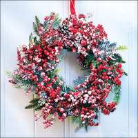 Art.No.33314625- Салфетки Frozen wreath от 