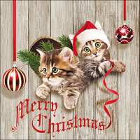 Art.No.33316580- Салфетки Curious kittens от 