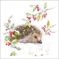 Art.No.33316595- Салфетки Hedgehog in winter от 