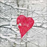 Art.No.33316650- Салфетки Heart in tree от 