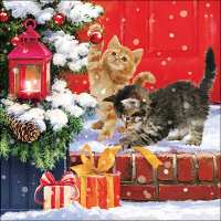Art.No.33316695- Салфетки Kittens on doorstep от 