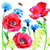 Art.No.13313270- Салфетки Cornflower and poppy от 