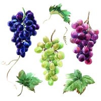 Art.No.13317240- Салфетки Wine grapes от 