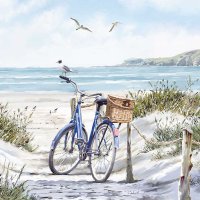 Art.No.13317380- Салфетки Bike at the beach от 