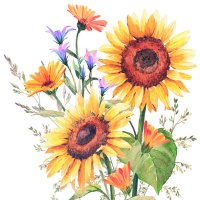 Art.No.13317440- Салфетки Sunflowers от 