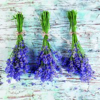 Art.No.13317480- Салфетки Lavender bouquets от 