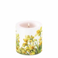 Art.No.19216195- Свещ Golden daffodils от 