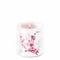 Art.No.19217305- Свещ Orchid от 