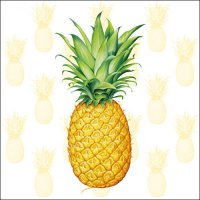 Art.No.13309530- Салфетки Tropical fruit от 