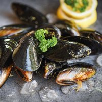 Art.No.13316225- Салфетки Mussels 33х33см от 