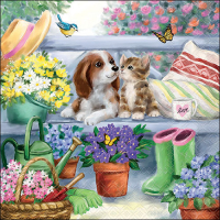 Art.No.13318210- Салфетки Bench friends от 