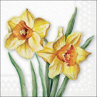 Art.No.13318490- Салфетки Flowering daffodils от 