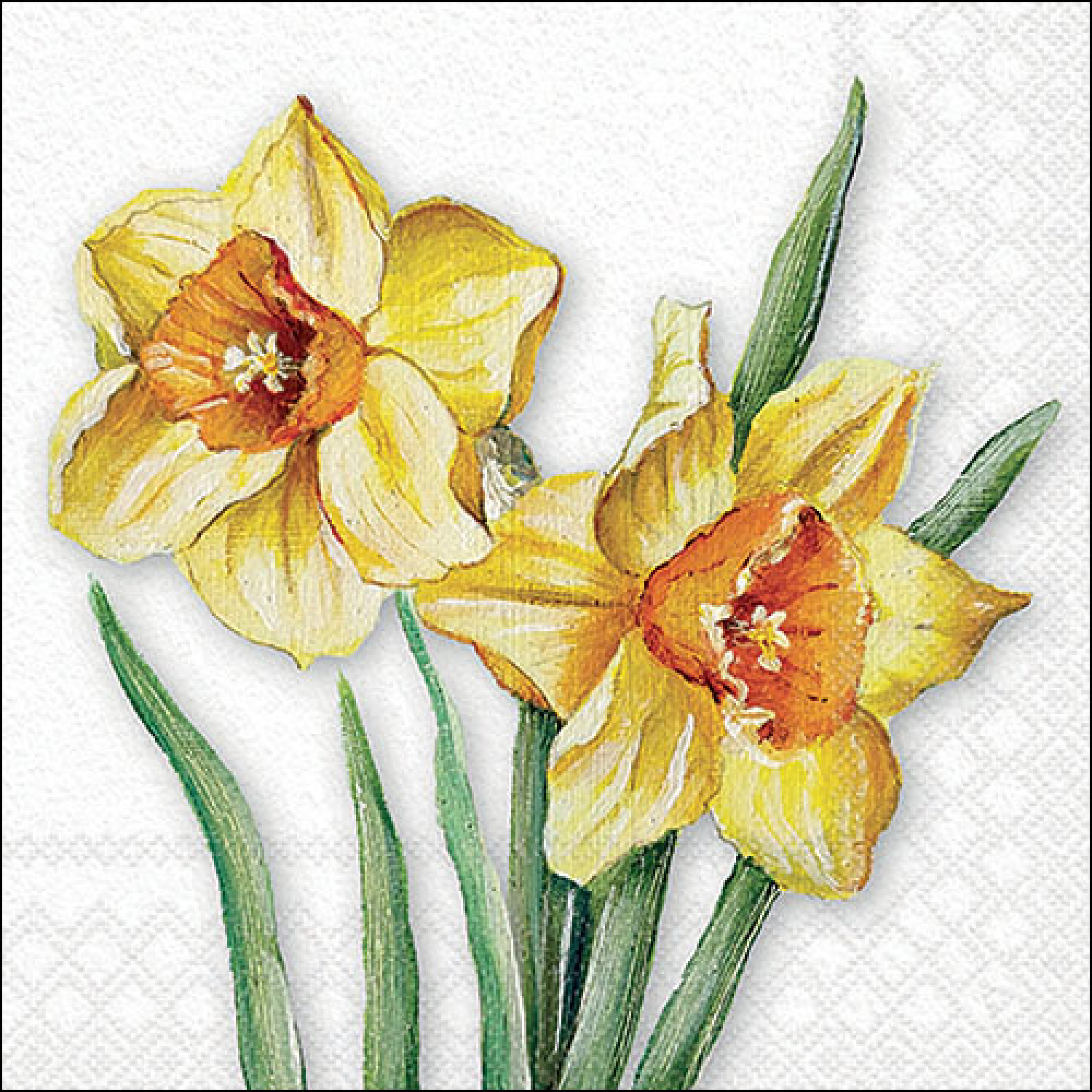 Салфетки Flowering daffodils