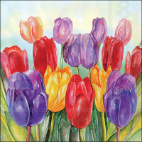 Art.No.13318505- Салфетки Colourful tulips от 