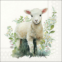 Art.No.13318580- Салфетки Lamb от 