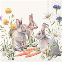 Art.No.23318250- Салфетки Carrot treat от 
