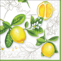 Art.No.13306290- Салфетки Citrus limonum от 