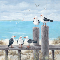 Art.No.13318170- Салфетки Seagulls on the dock от 