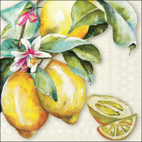 Art.No.13318335- Салфетки Sunny lemon от 