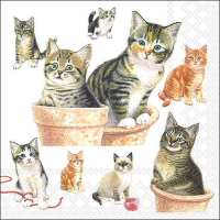 Art.No.13318550- Салфетки Cute kittens от 