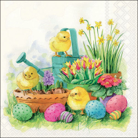 Art.No.23318280- Салфетки Curious chicks от 