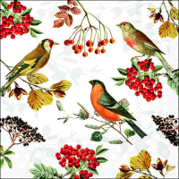 Art.No.13317730- Салфетки Autumn birds от 