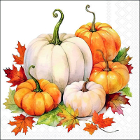 Art.No.13318815- Салфетки Pumpkin season от 