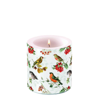 Art.No.19217730- Свещ Autumn birds от 
