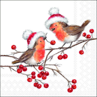 Art.No.33318865- Салфетки Christmas robins white от 