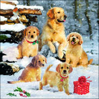 Art.No.33318885- Салфетки Golden retriever puppies от 