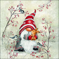 Art.No.33318905- Салфетки Dwarf hug от 