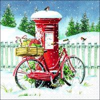 Art.No.33318920- Салфетки Delivery bike  от 