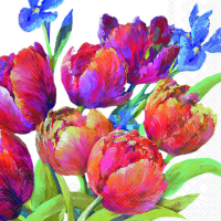 Art.No.13319310- Салфетки Tulips of Joy от 