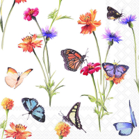 Art.No.13319335- Салфетки Buterfly garden white от 