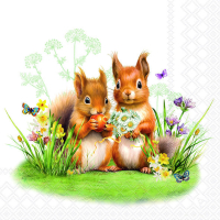 Art.No.13319465- Салфетки Little squirrels от 