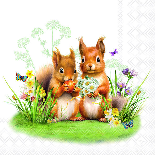 Салфетки Little squirrels