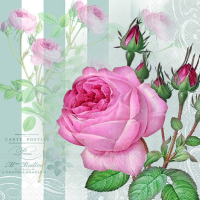 Art.No.13319565- Салфетки  Yara от 