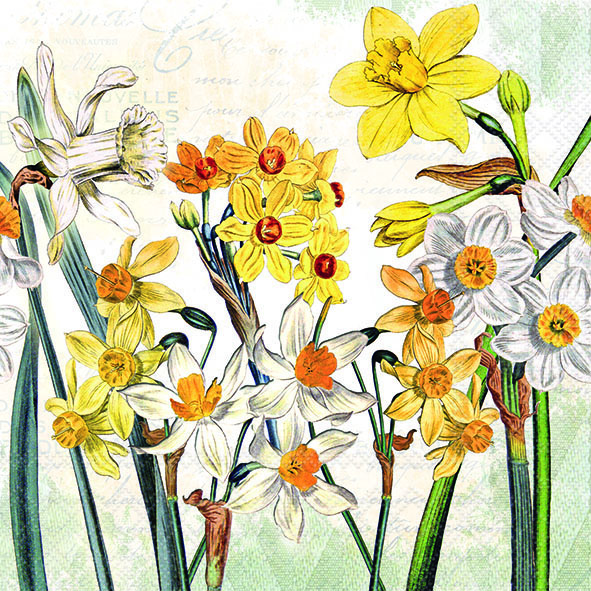 Салфетки Narcissus