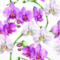 Art.No.13319605- Салфетки Elegant orchids white от 