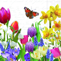 Art.No.13319640- Салфетки  Spring feeling  от 