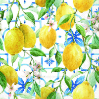 Art.No.13319660- Салфетки Mediterranean lemons от 