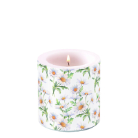 Art.No.19219545- Свещ Beutiful daisies white от 