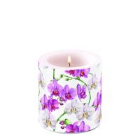 Art.No.19219605- Свещ Elegant orchids white от 