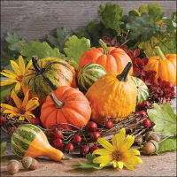 Art.No.13320255- Салфетки Pumpkin varieties от 